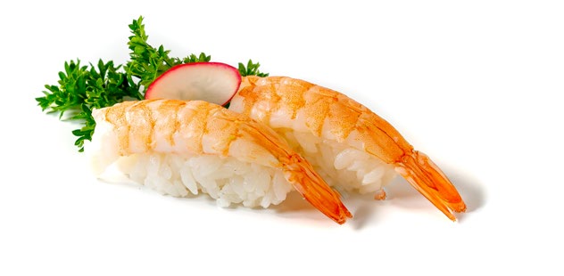 NIGIRI GAMBA /2PZS